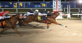 HEZAA FAST BOY IS THE FASTEST IN THE OPELOUSAS STAKES